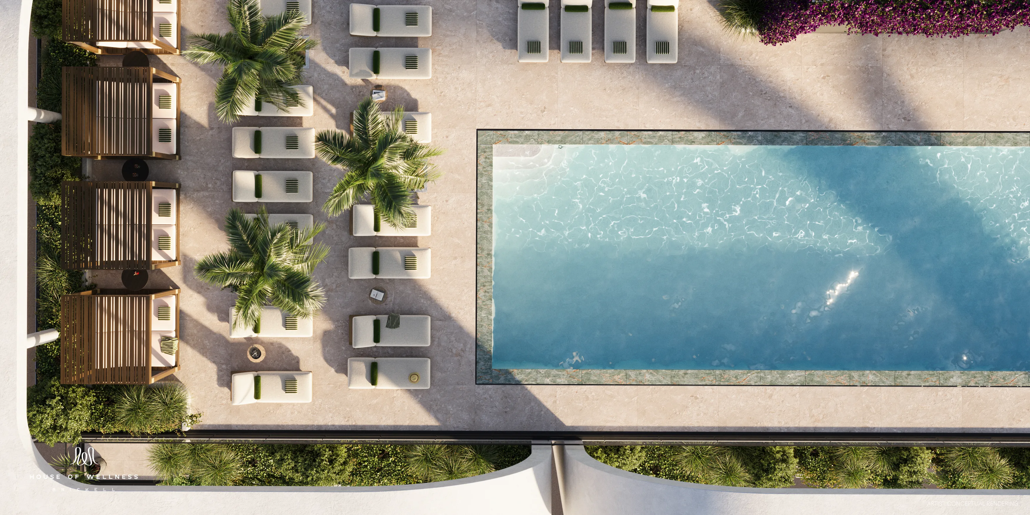 Bird's-eye view of the rooftop pool and surrounding lounge deck